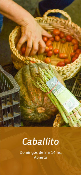 Mercado productos org´ánicos Caballito Buenos Aires Tienda Online productos naturales, saludables y sin agrotóxicos